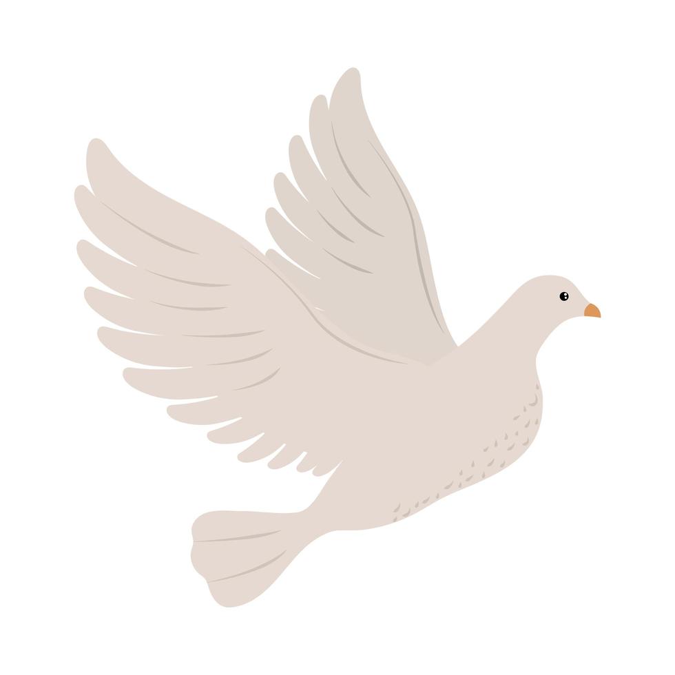 cute dove flying vector