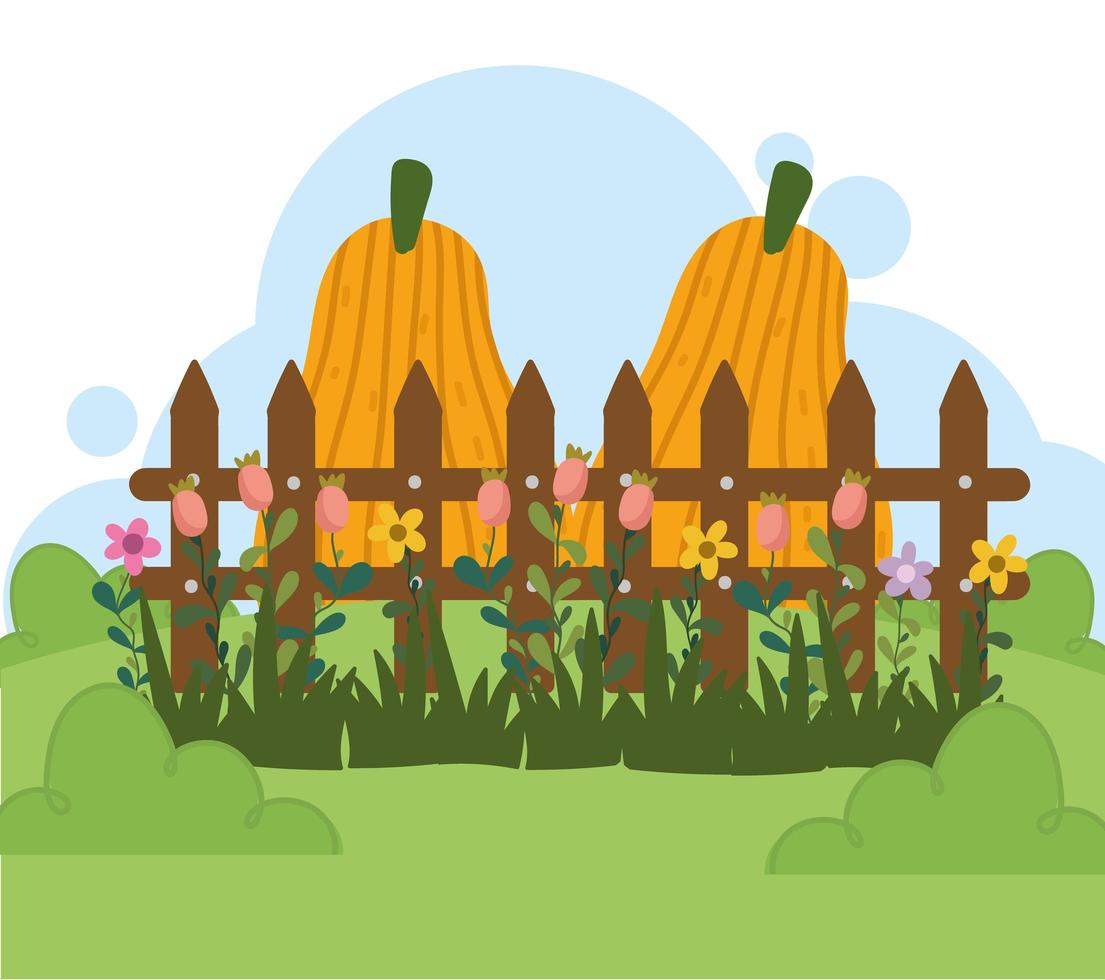 Gardening, pumpkins flowers grass and fence vector