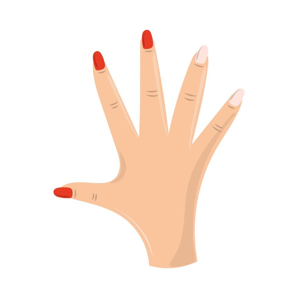 hand with manicure vector