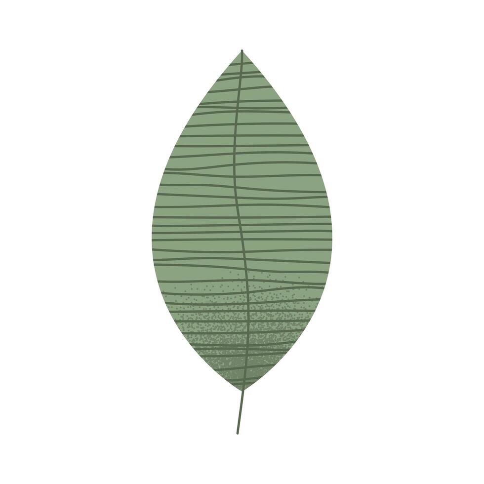 eco leave plant vector