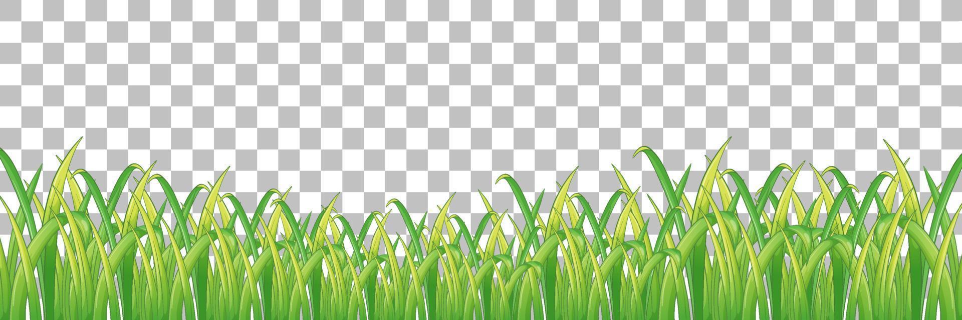 Tropical plant on grid background vector