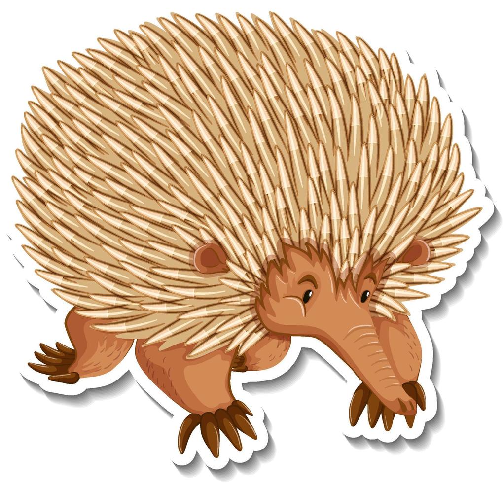 Echidna cartoon character on white background vector