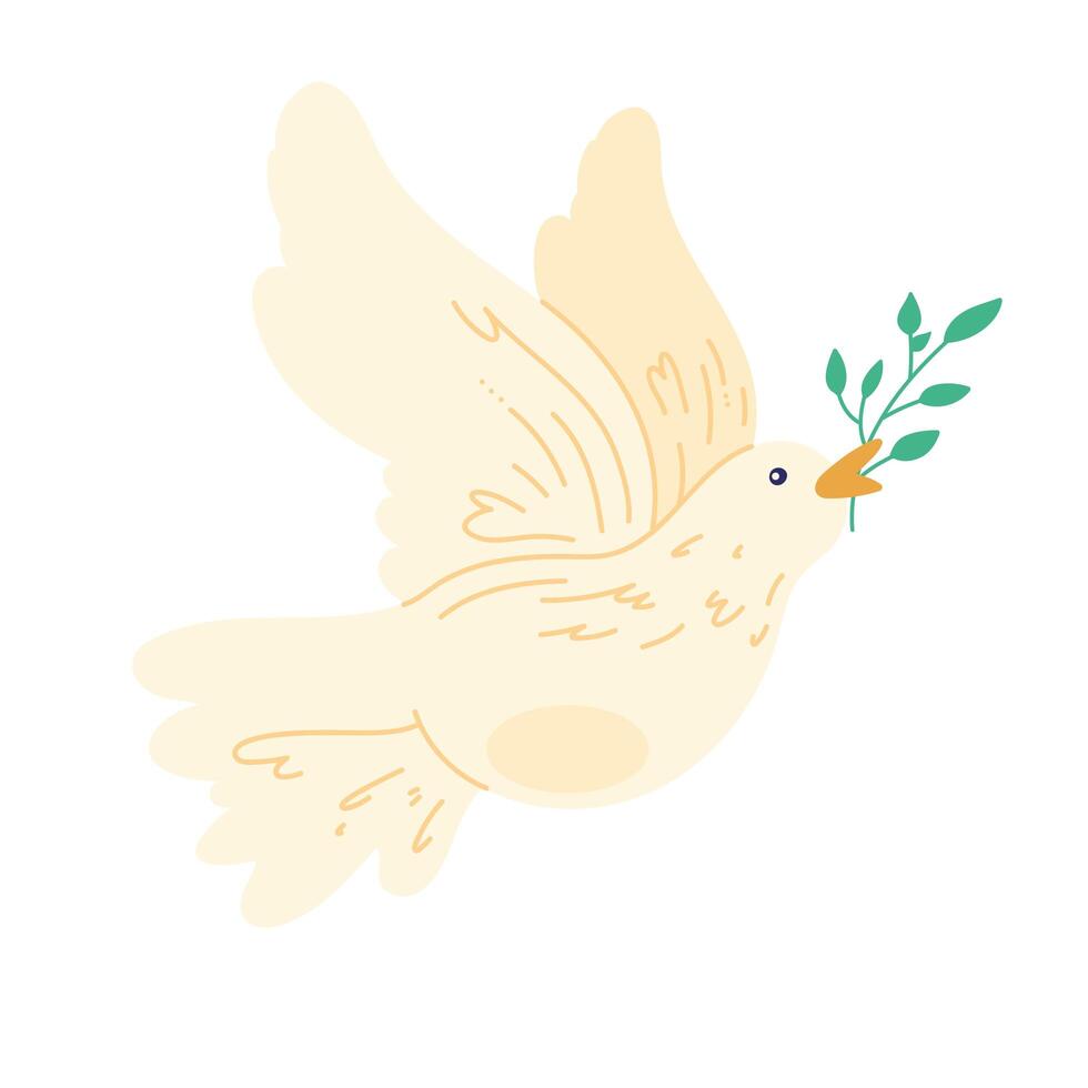 dove with branch vector
