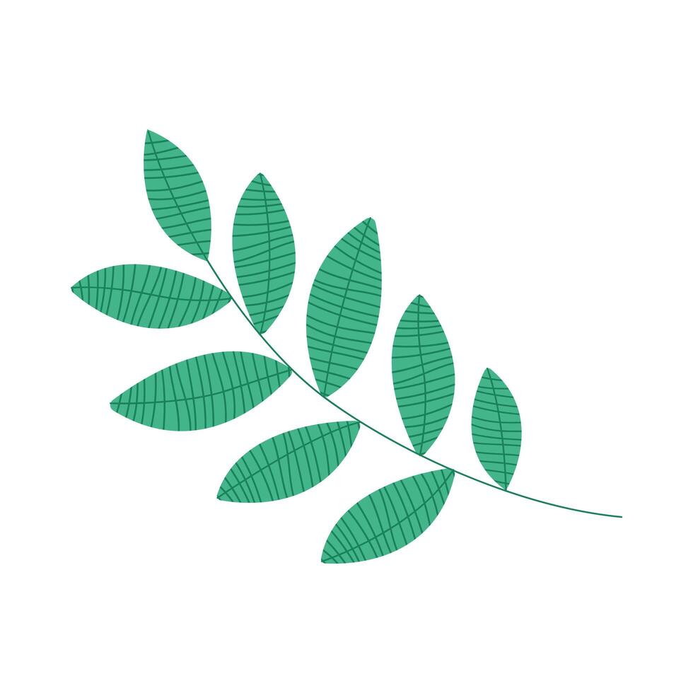 branch with leafs vector