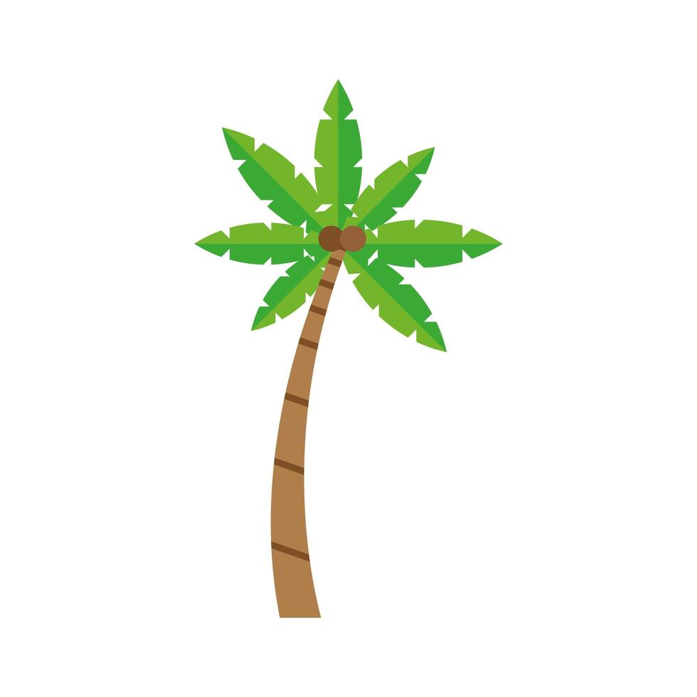 tropical tree palm vector
