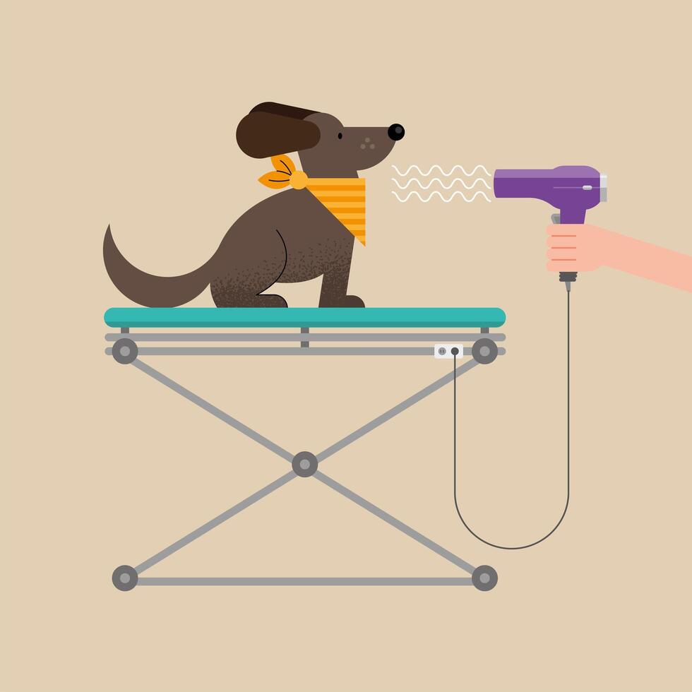 drying cute dog vector