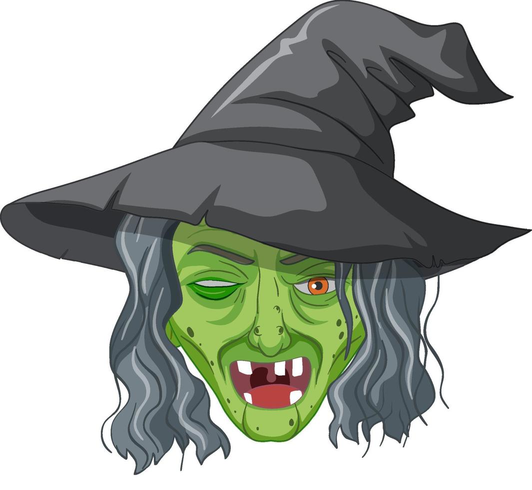 Wicked old witch face on white background vector