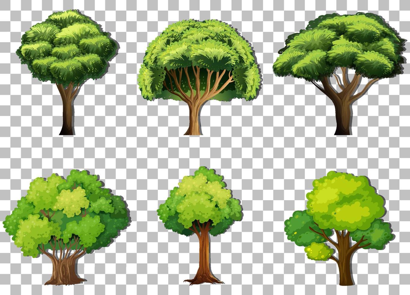 Set of variety trees on grid background vector