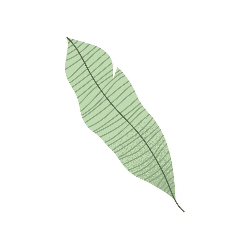 ecology leaf plant vector