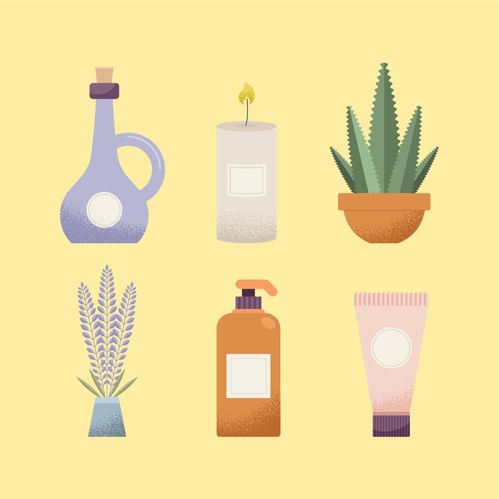 aromatherapy treatment icons vector