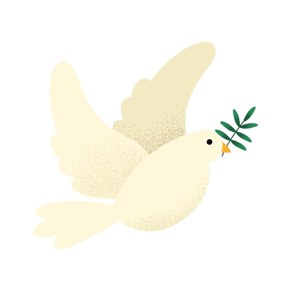 dove with branch vector