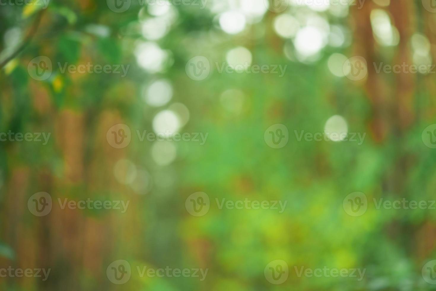 Natural green defocus light nature abstract background. Organic and natural concept. Defocus forest. photo