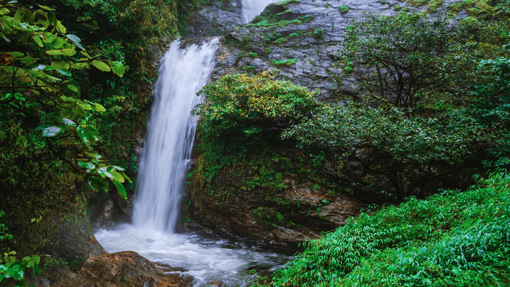 viaje por la cascada más alta en chiangmai mae-pan cascada bosque de temporada de lluvias en doi intanon. cascada de fondo. foto