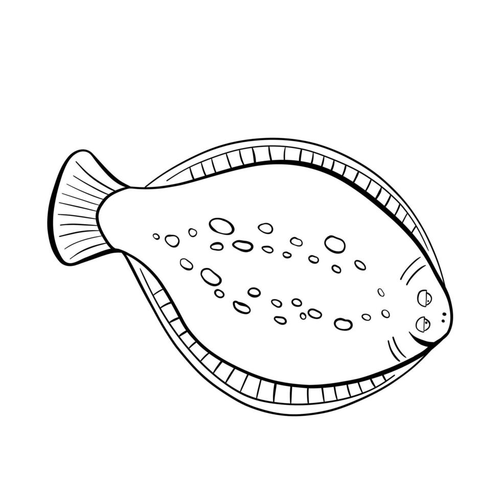 Black sea flatfish. Black doodle style flounder vector