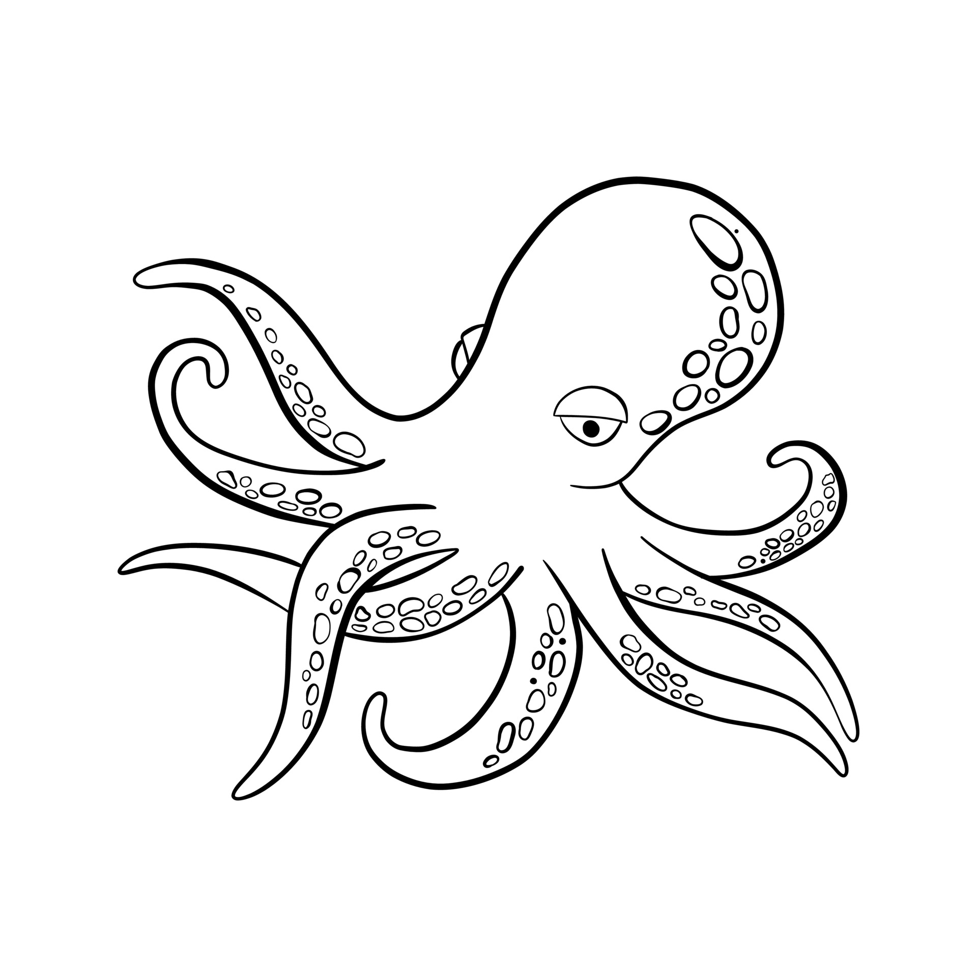black outline cute cartoon doodle style octopus 3825092 Vector Art at Vecteezy black outline cute cartoon doodle style octopus 3825092 Vector Art at Vecteezy