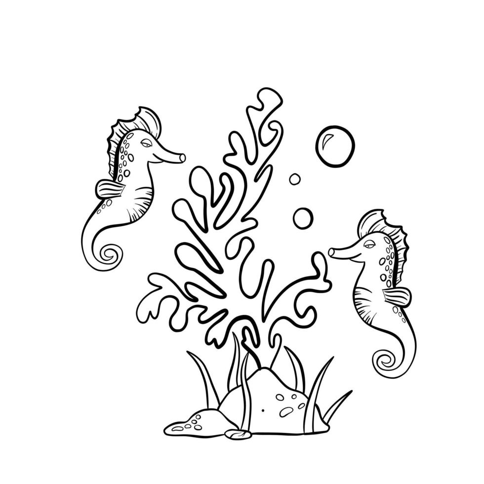 doodle dibujado a mano con caballito de mar y laminaria vector
