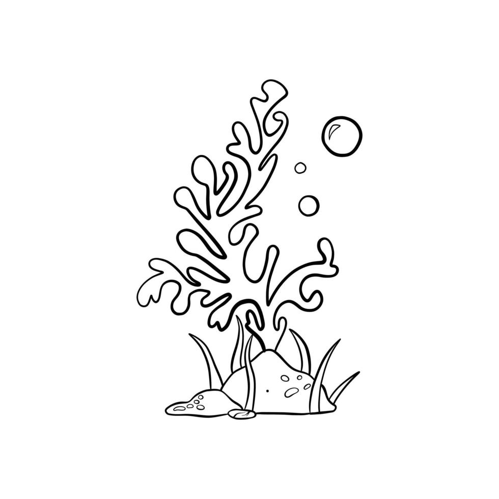 Vector drawing of seaweed in doodle style
