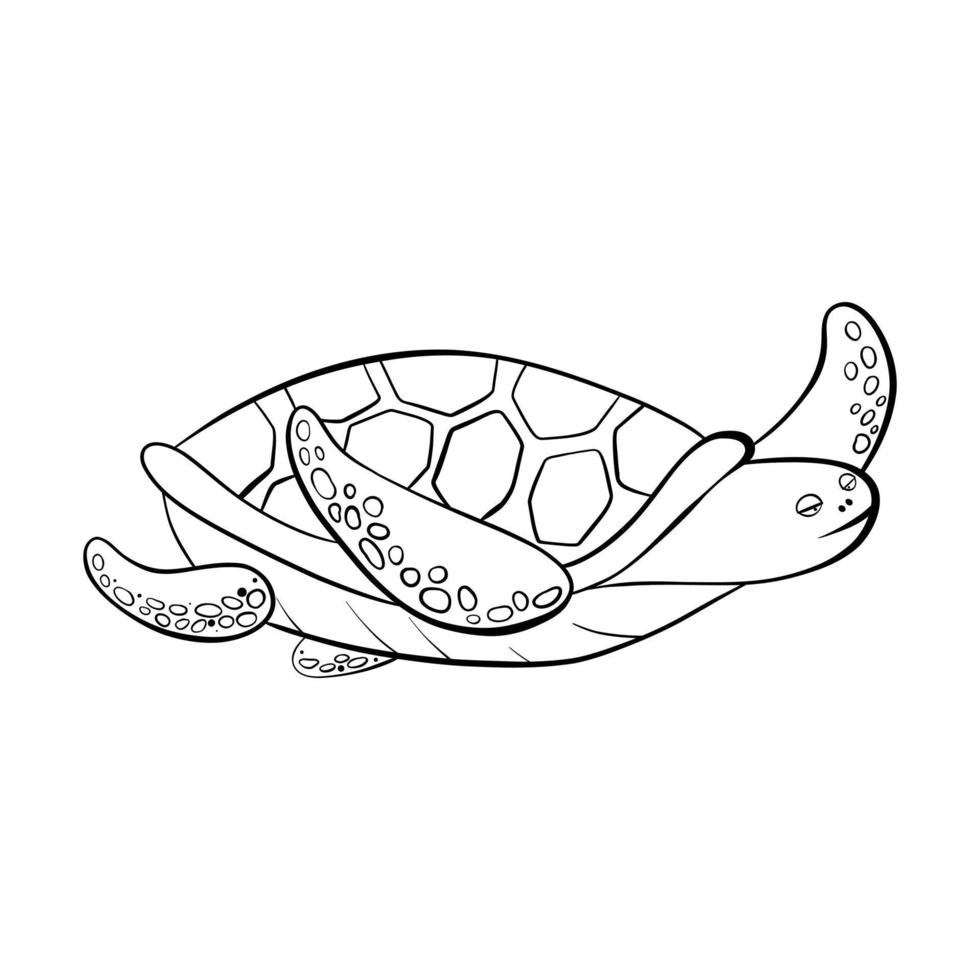 Vector black outline cartoon doodle sea turtles.