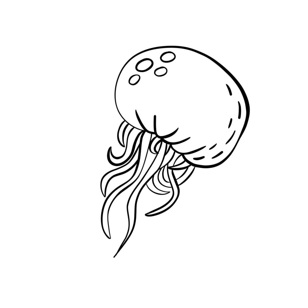 icono de medusas de dibujos animados de doodle de vector de contorno negro