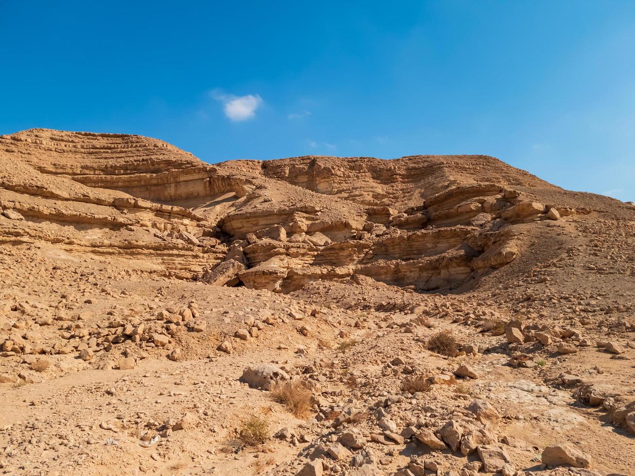 landscape in the desert photo