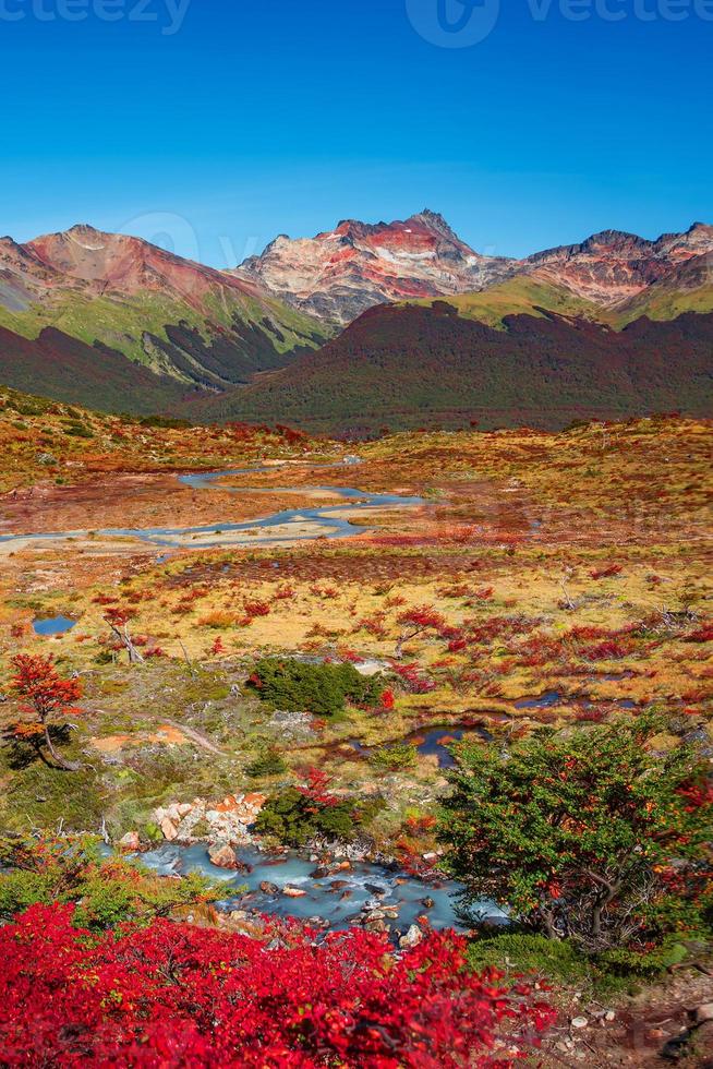 View over magical austral forests, peat bogs and high mountains in Tierra del Fuego National Park, Patagonia, Argentina, golden Autumn and blue sky photo