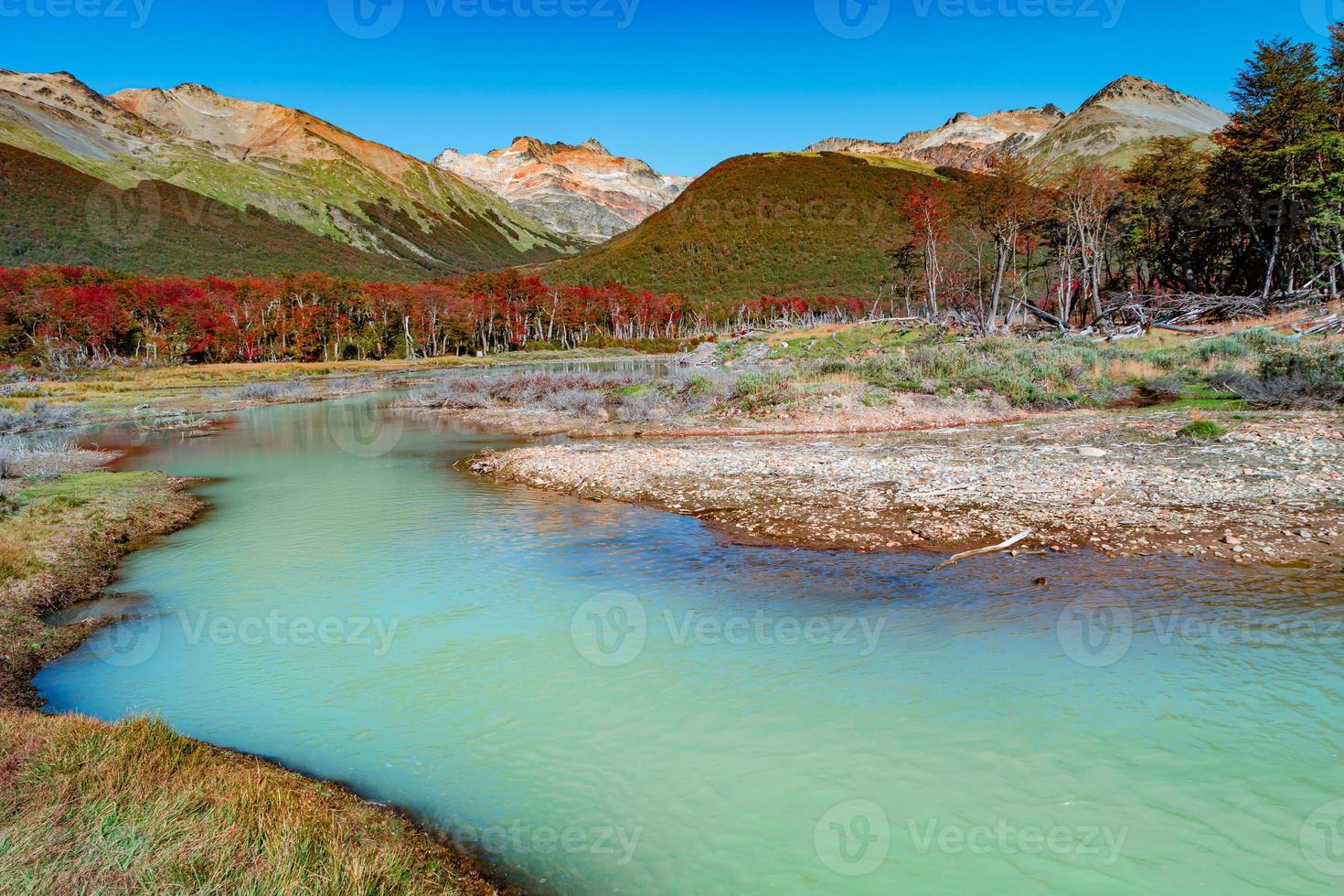 View over magical colorful valley with austral forests, peatbogs, dead trees, glacial streams and high mountains in Tierra del Fuego National Park, Patagonia, Argentina, golden Autumn. photo