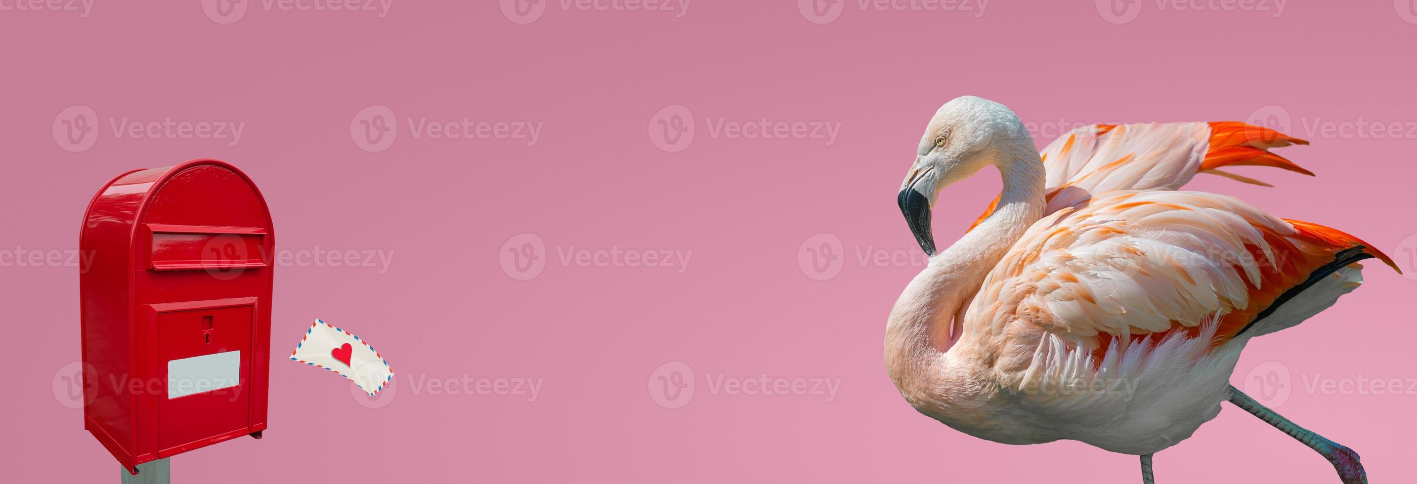 Banner with beautiful rosy flamingo waiting for a love letter from a red post box at smooth light pink gradient background with copy space, closeup, details. Love, dating and glamour concept. photo