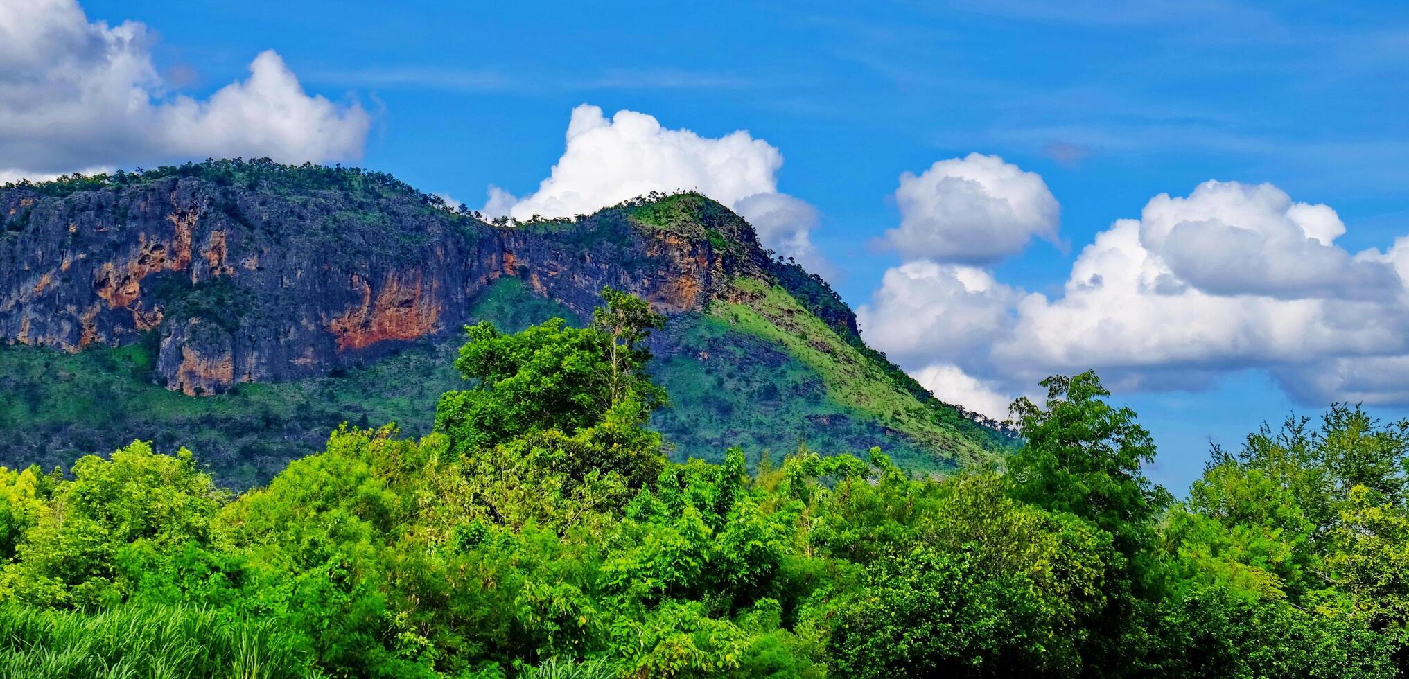 campos verdes frescos en un día brillante foto