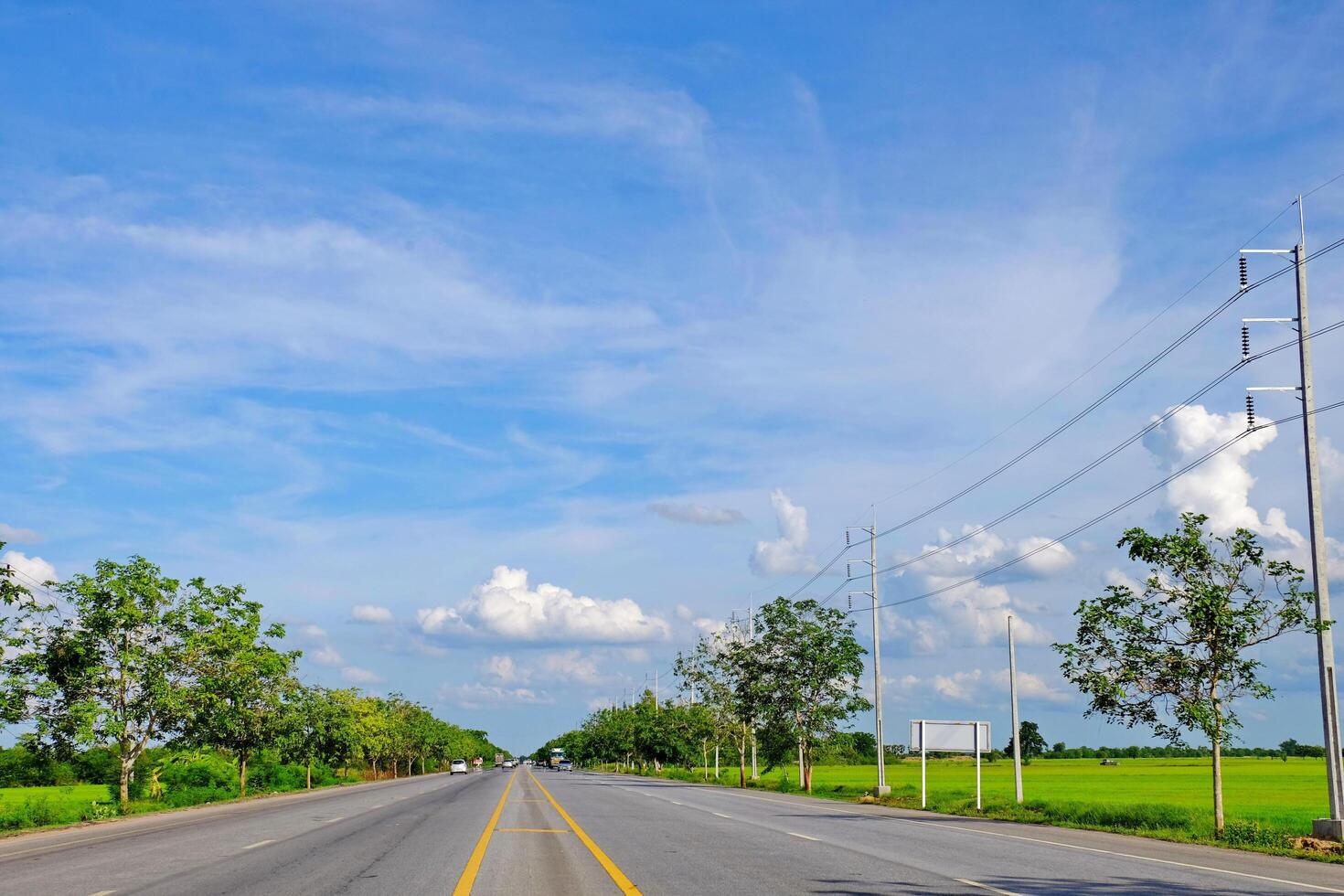 Mountain road with trees photo