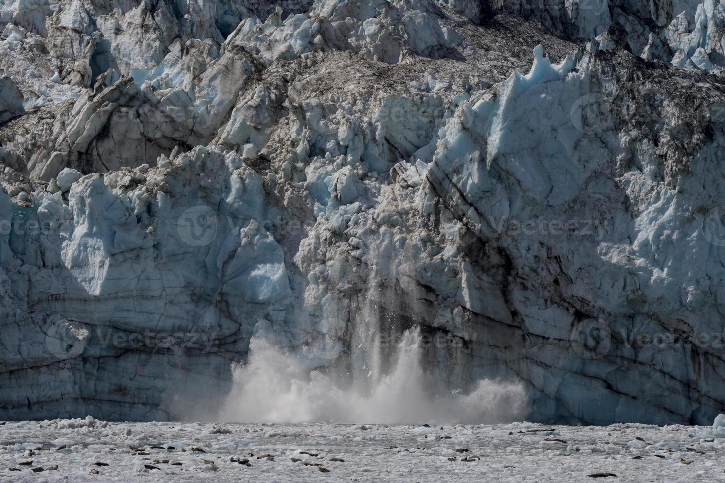 Calving Glacier, Johns Hopkins Glacier, Glacier Bay photo