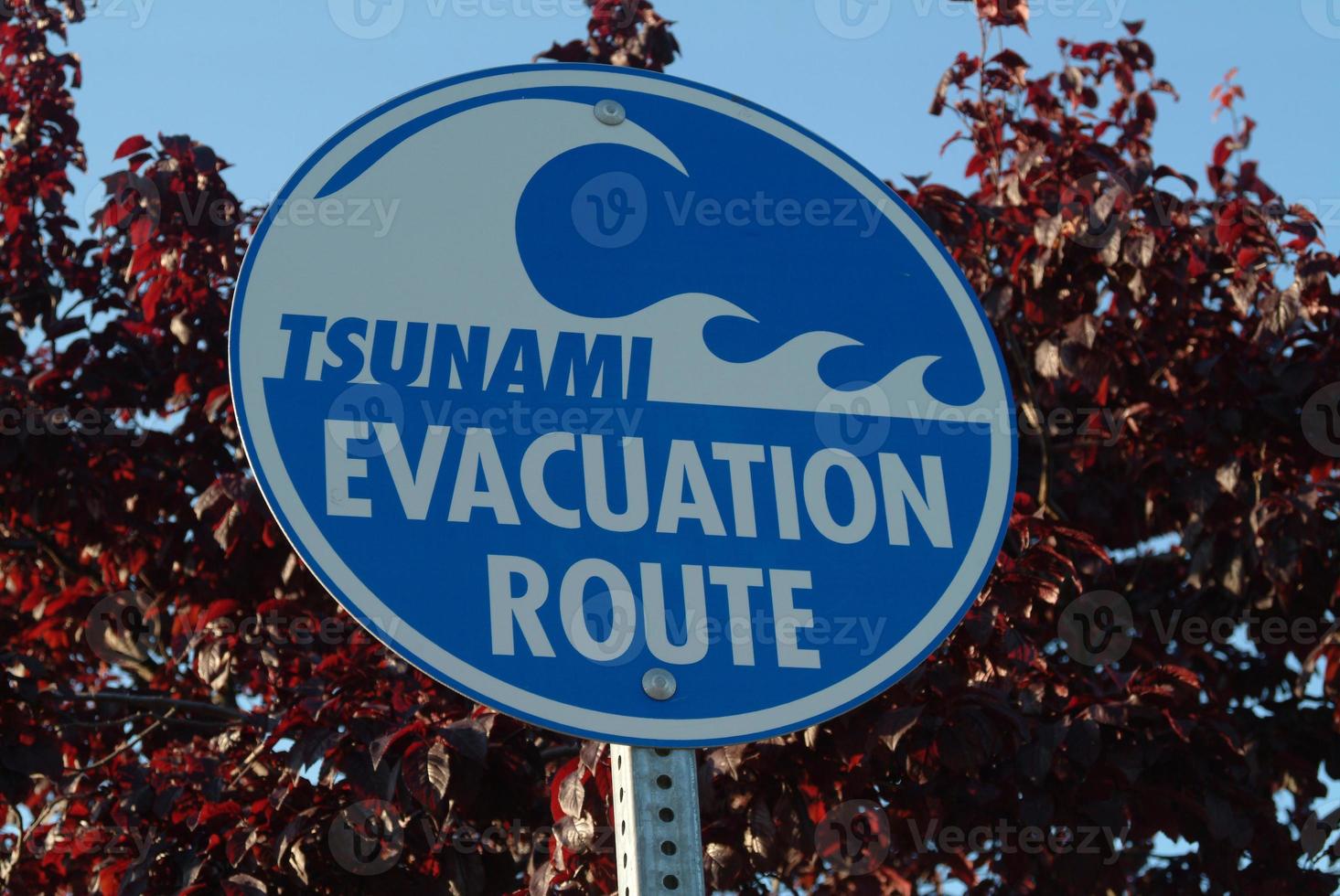 Tsunami evacuation route