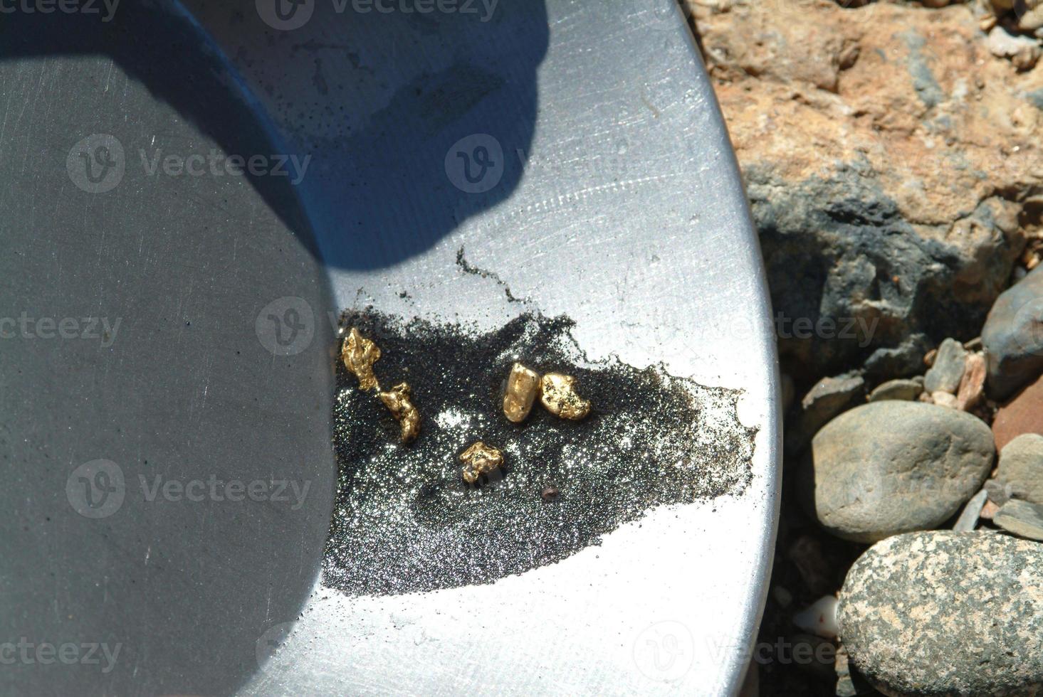 Gold Nuggets in Gold Pan photo