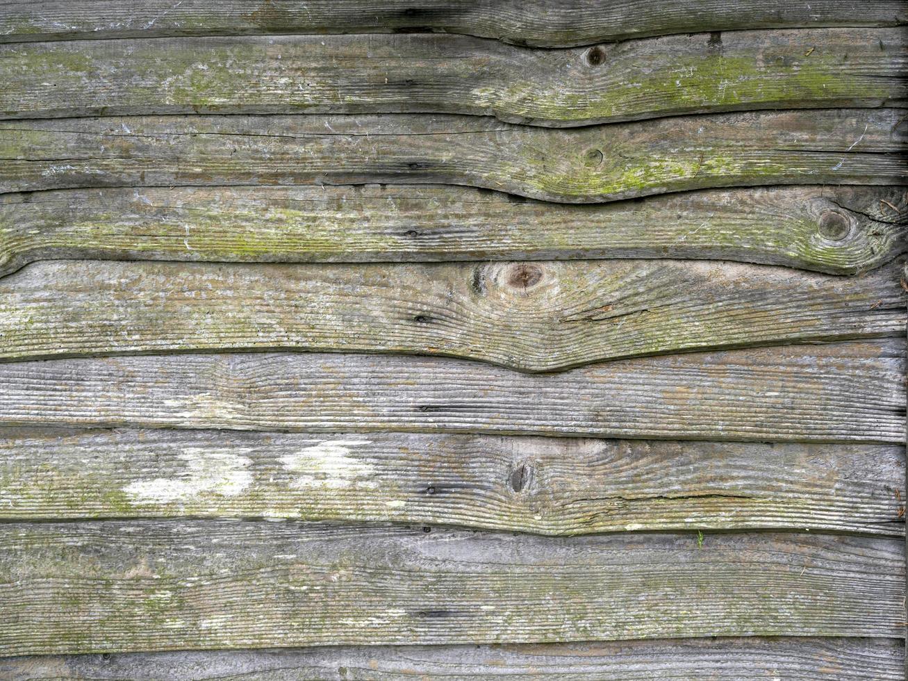 Listones de madera en una antigua valla de jardín mohosa foto