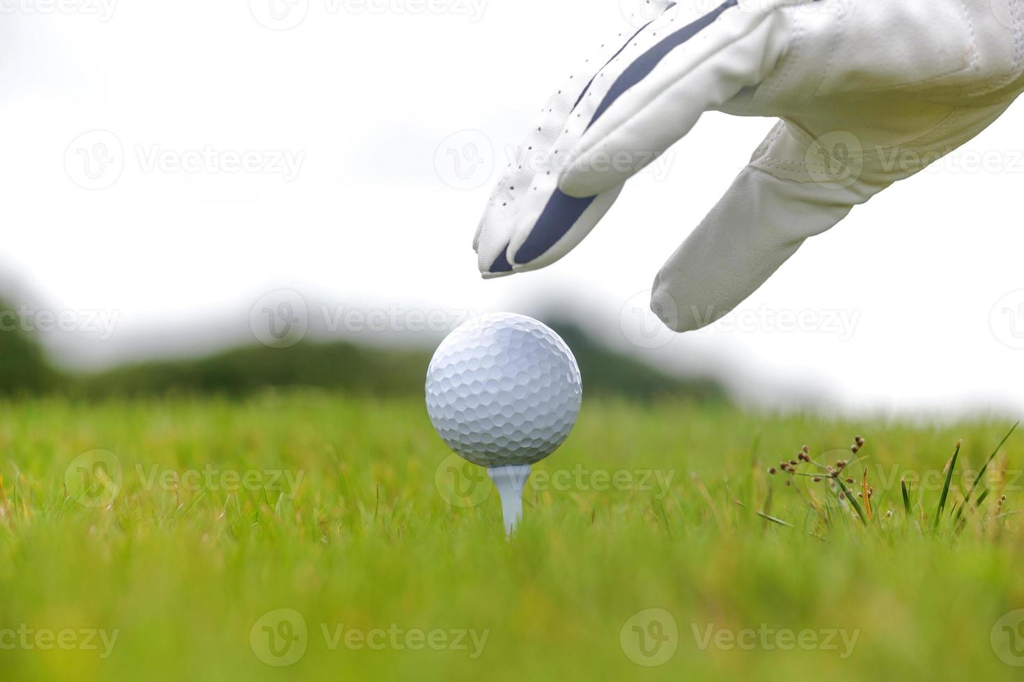 Hand holding golf ball with tee on golf course photo