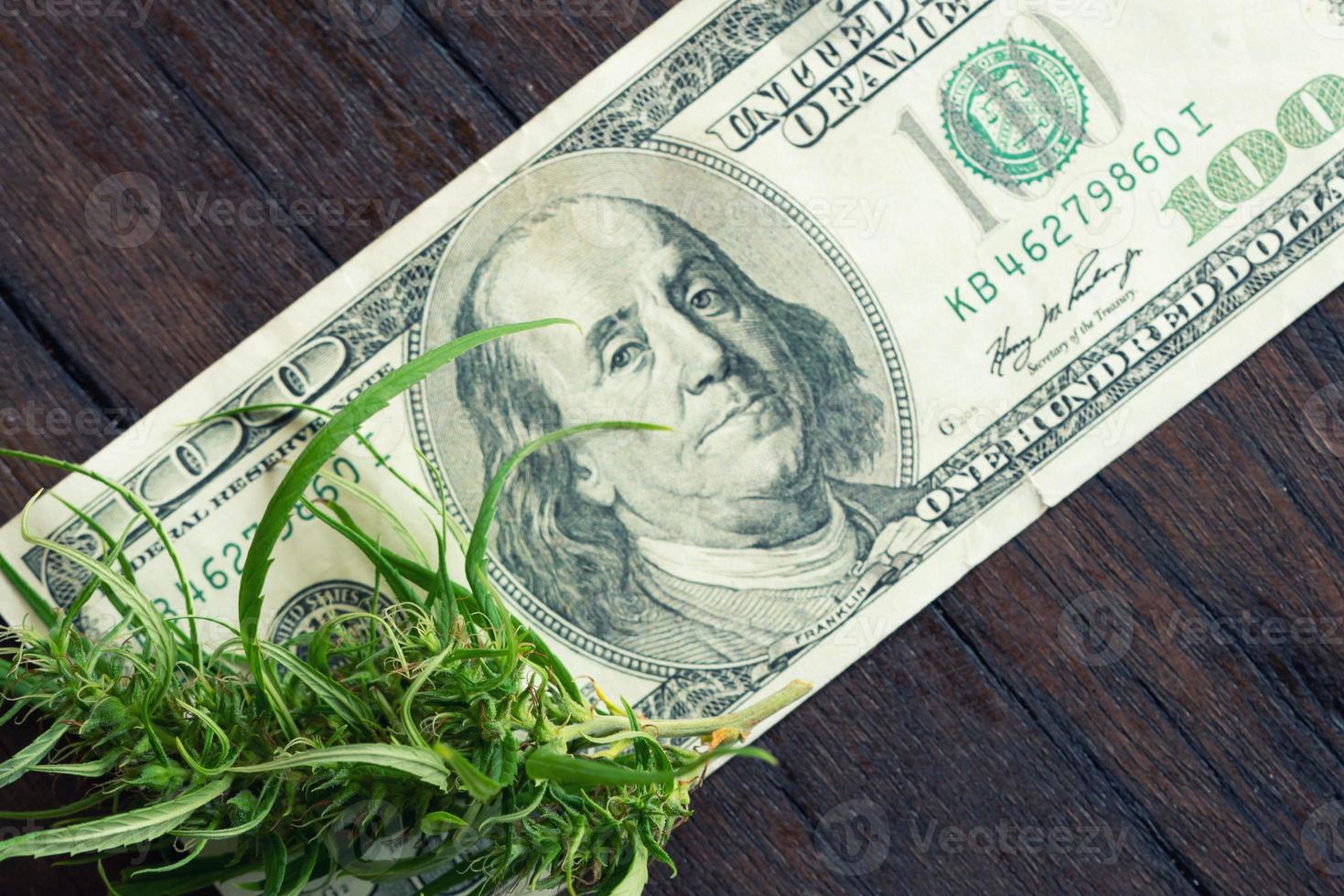 marijuana flower on hundred dollar banknote photo