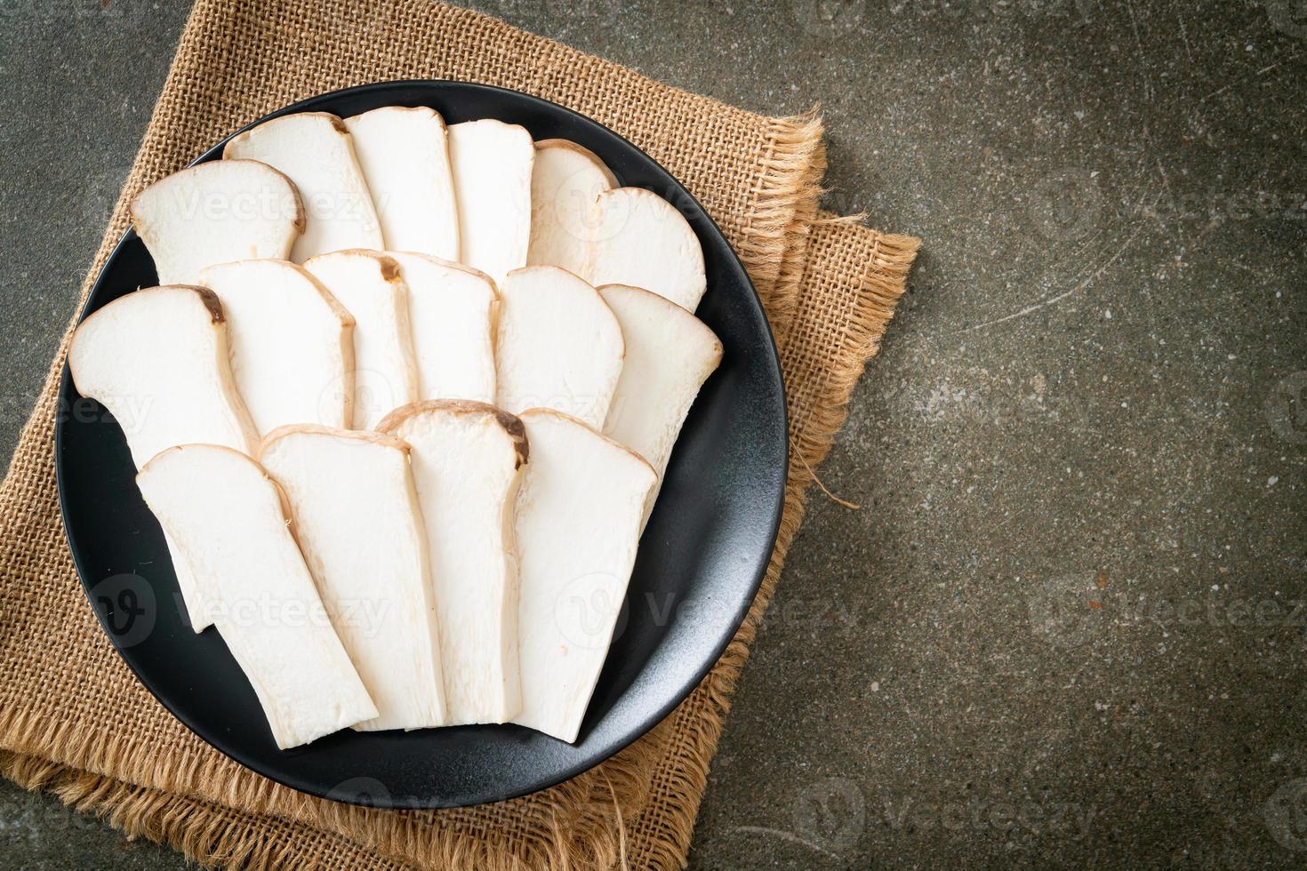 King oyster mushroom or King trumpet mushrooms photo