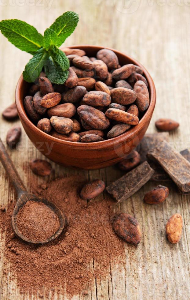 Cocoa beans and powder photo