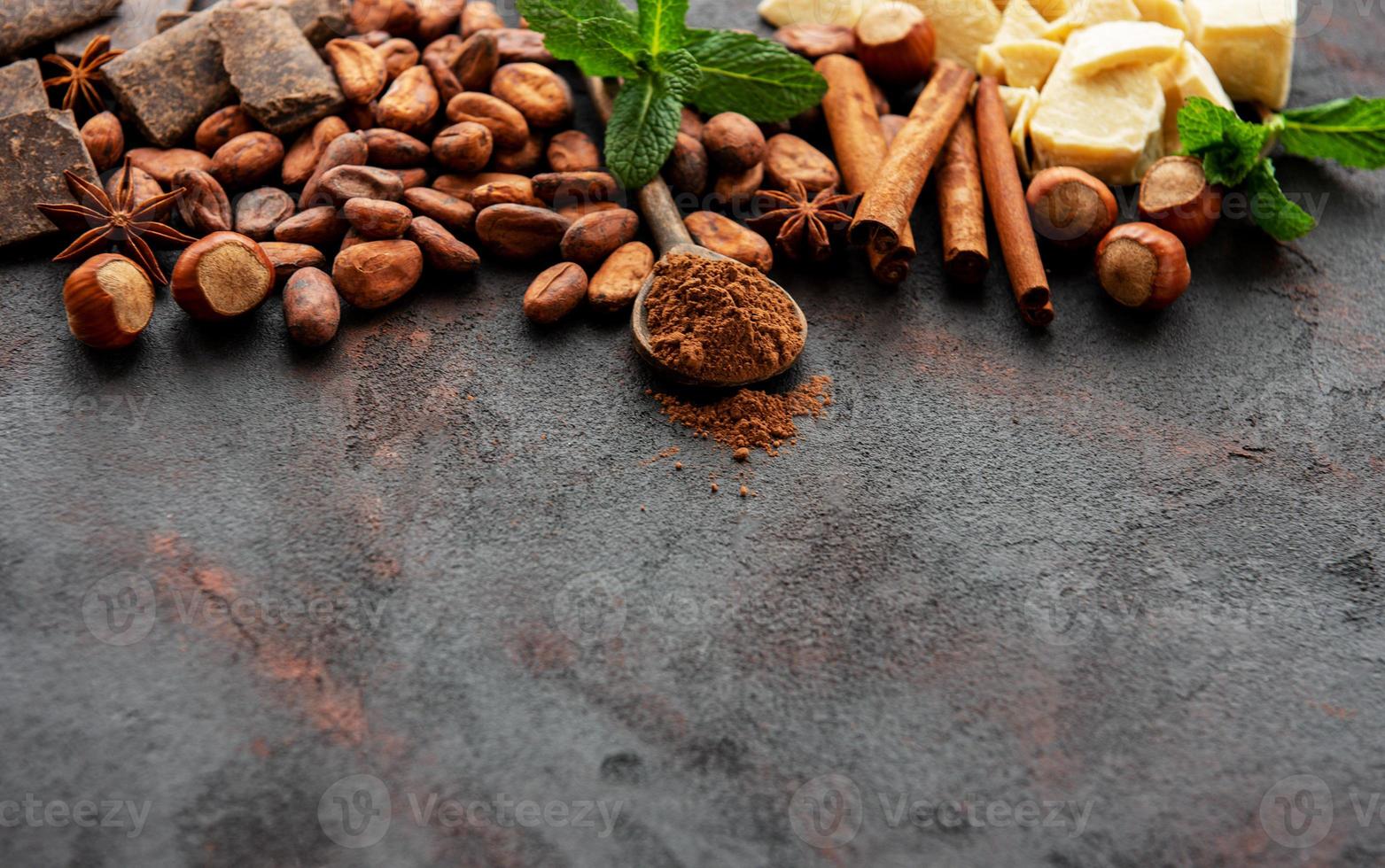 Cocoa powder and beans photo