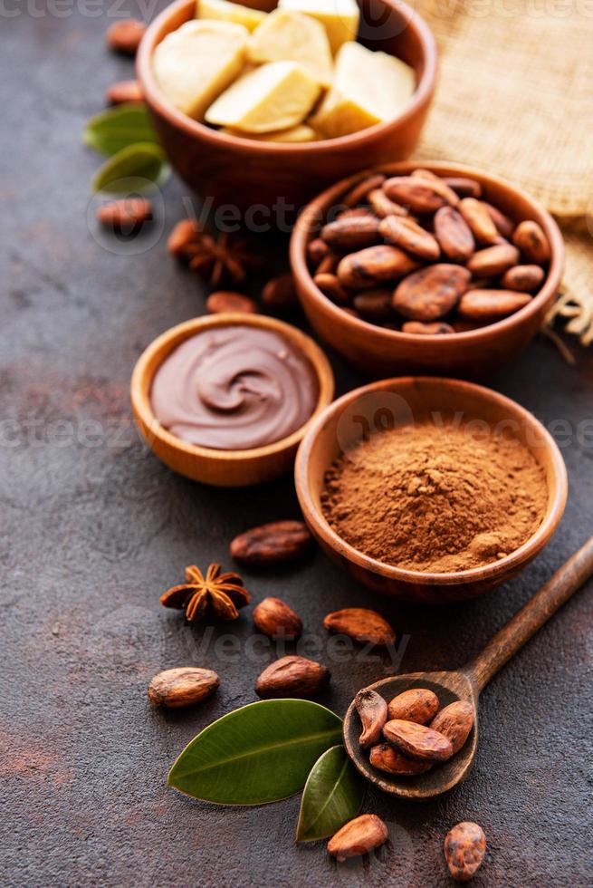 Cocoa beans, powder and cocoa butter photo