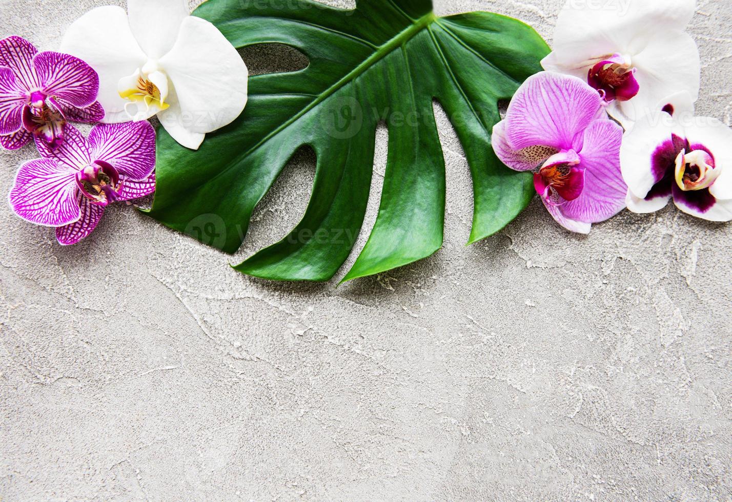 Tropical leaves monstera and orchid flowers photo