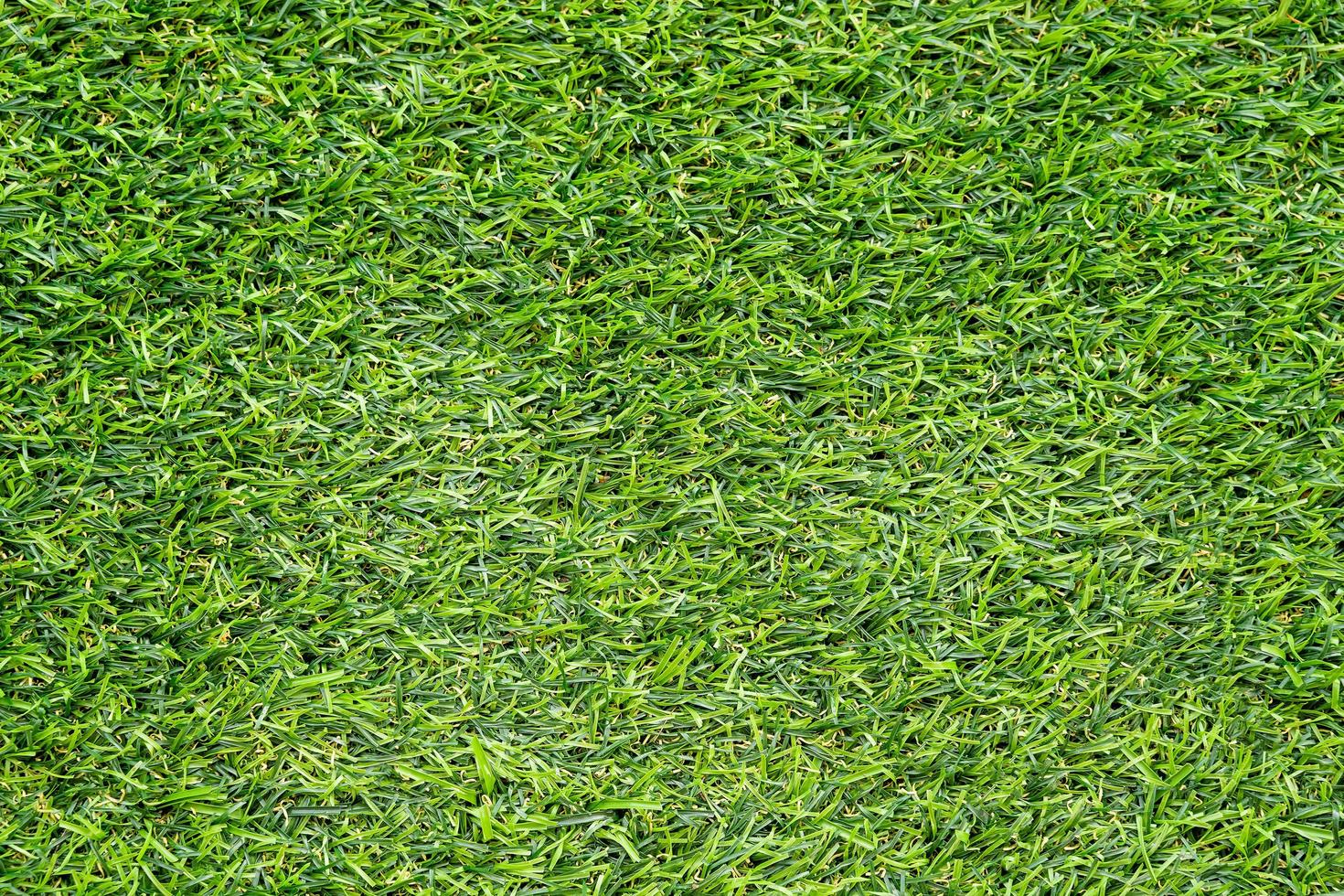 Green grass texture for background. Green lawn pattern and texture background. photo