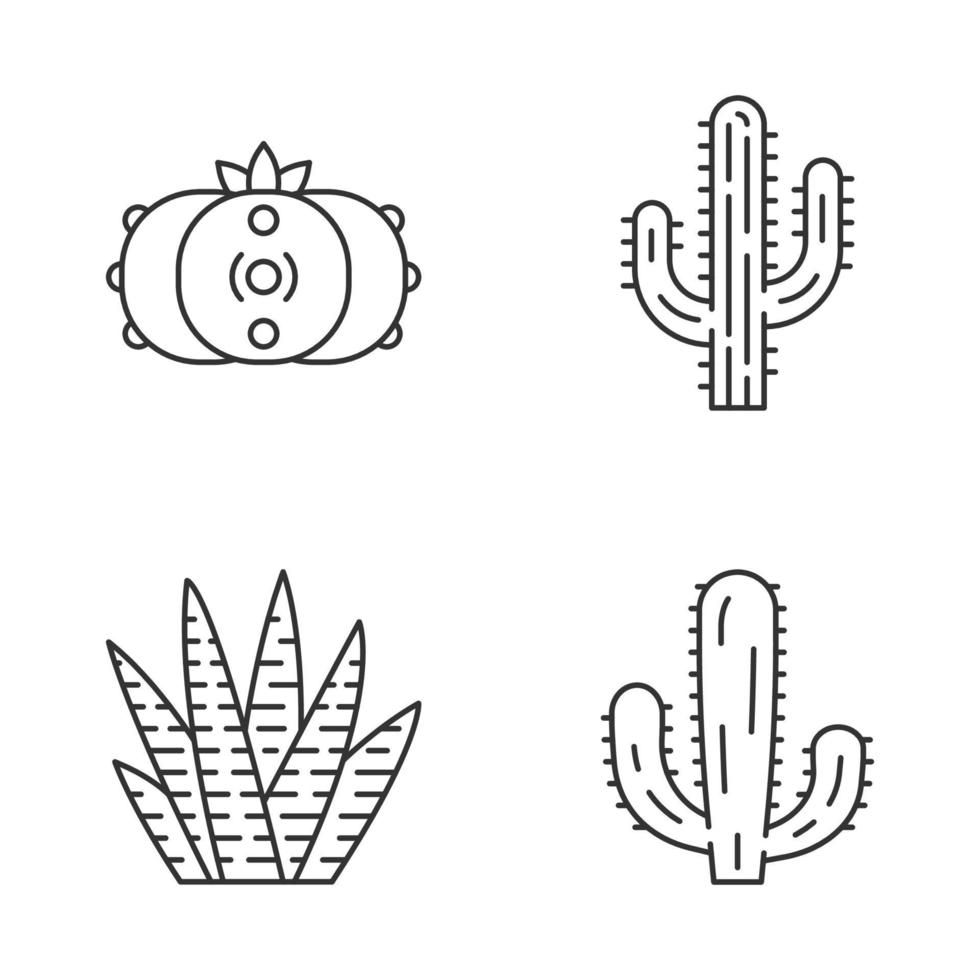 Conjunto de iconos lineales de cactus silvestres. suculentas. colección de cactus. saguaro, peyote, gigante mexicano y cactus cebra. símbolos de contorno de línea fina. ilustraciones de contorno de vector aislado. trazo editable