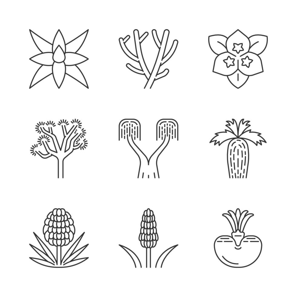 Conjunto de iconos lineales de plantas del desierto. flora exótica. Yucas, cactus, palmeras, agave, arbusto. Plantas decorativas resistentes a la sequía. símbolos de contorno de línea fina. ilustraciones de contorno de vector aislado. trazo editable