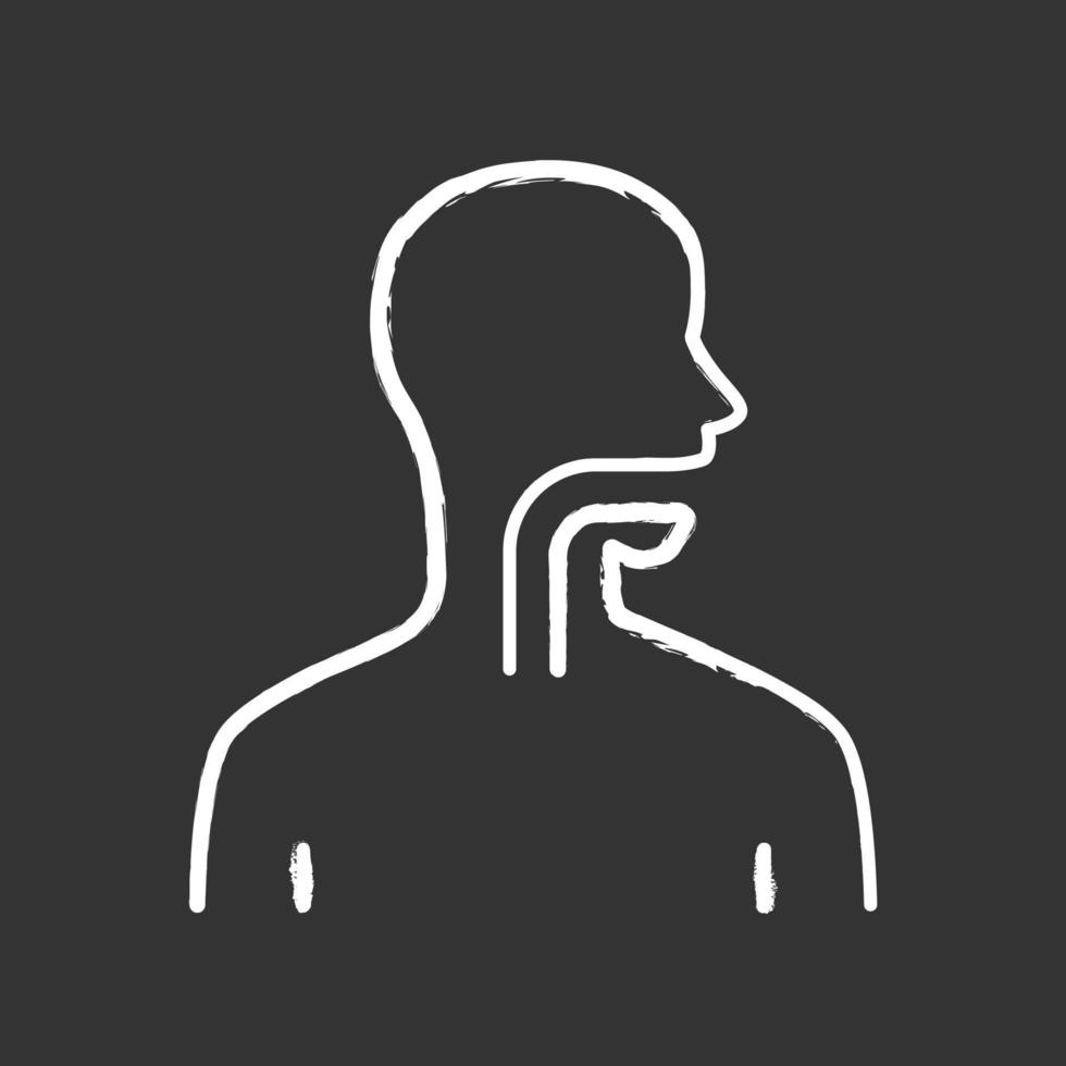 Healthy throat chalk icon. Oral cavity, pharynx and esophagus in good health. Upper section of alimentary canal. Internal body part. Gastrointestinal tract. Isolated vector chalkboard illustration