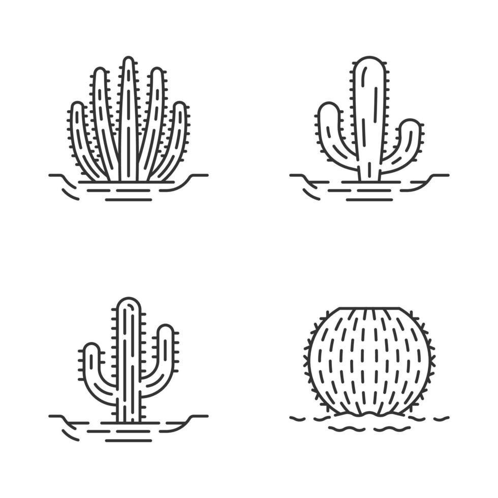 cactus silvestres en conjunto de iconos lineales de tierra. suculentas. plantas espinosas. cactus de barril, saguaro, gigante mexicano, cactus de tubo de órgano. símbolos de contorno de línea fina. iconos de contorno de vector aislado. trazo editable