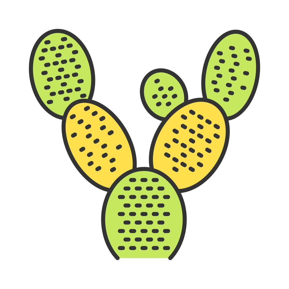 Bunny ears cactus color icon. Opuntia microdasys. Prickly pear cactus. Mexican exotic flora. Isolated vector illustration