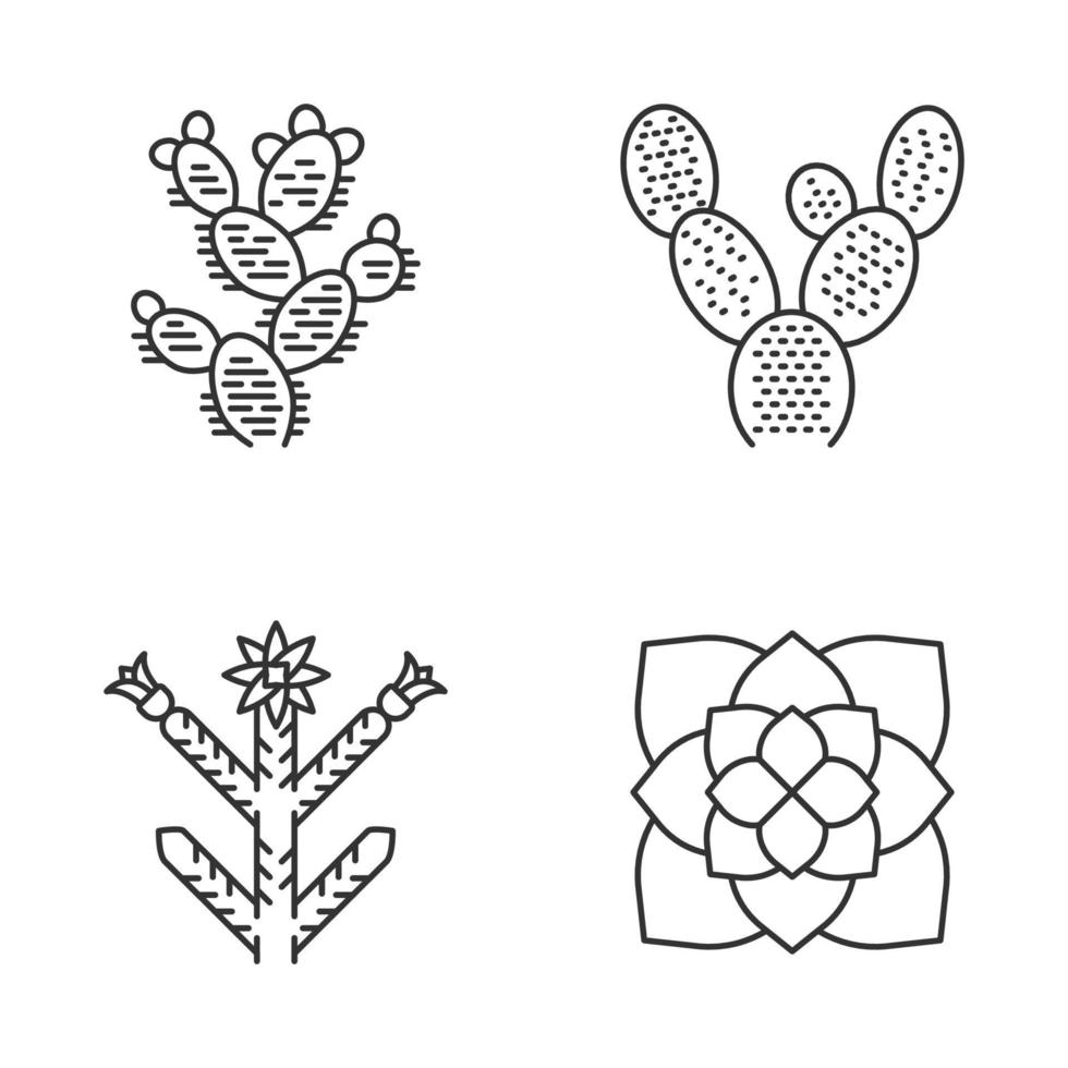 Conjunto de iconos lineales de plantas del desierto. flora exótica. cactus oreja de conejo, tuna, planta fantasma. suculentas americanas. símbolos de contorno de línea fina. ilustraciones de contorno de vector aislado. trazo editable