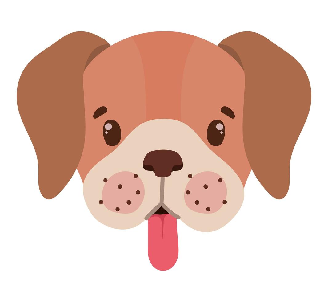 puppy face design vector