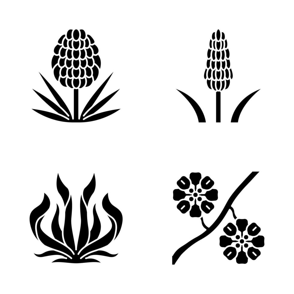 Desert plants glyph icons set. Exotic flora. Yucca, kniphofia, century plant, whitestem paperflower. Desert plants Silhouette symbols. Vector isolated illustration
