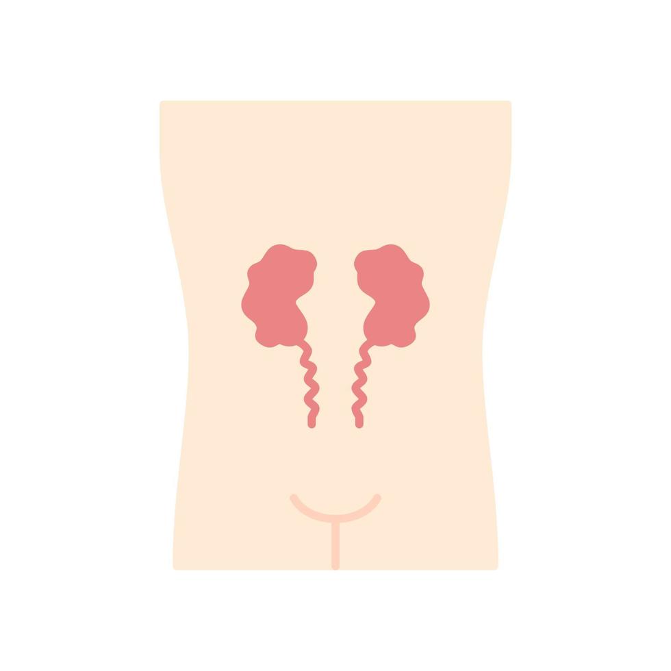 Ill kidneys flat design long shadow color icon. ore human organ. Unhealthy urinary system. Nephropathy. Sick internal body part. Kidney failure. Vector silhouette illustration